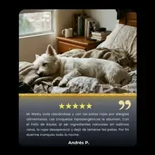 Andrés P.