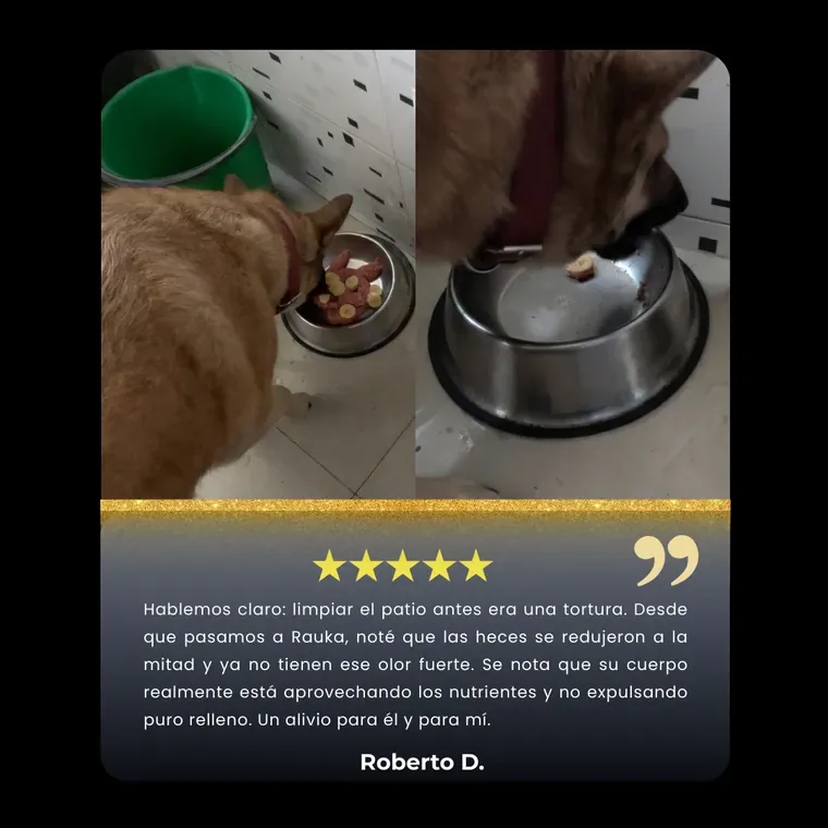 Roberto D.