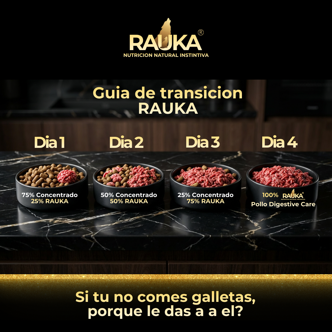 Dieta Barf Pollo Digestive Care Pack 1 Libra - Rauka